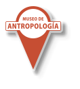 ANTROPOLOGÍA MUSEO DE